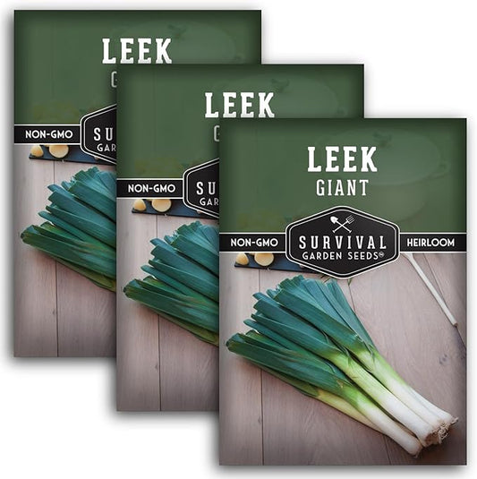 Survival Garden Seeds Giant Leek Seed for Planting - 3 Packets with Instructions to Plant and Grow Enormous Leeks in Your Home Vegetable Garden - Non-GMO Heirloom