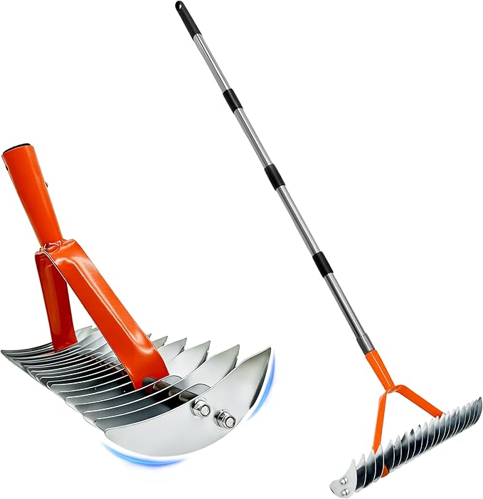 TCBWFY Thatch Rake for Lawn,15" Dethatcher Rake,Heavy-Duty Metal Thatching Rake,68" Adjustable Manual Dethatcher with 19 Tines,Dead Grass Remover Tool for Yards and Gardens