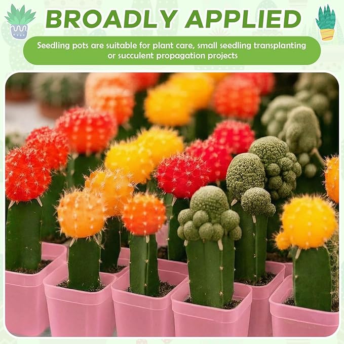 Yaomiao 200 Pack 3 Inch Pink Nursery Pot Square Flower Pots Plastic Plant Succulent Planter Seed Starting Pots with Drainage Holes for Garden Office Balcony Decor Indoor Outdoor Plant Seedling