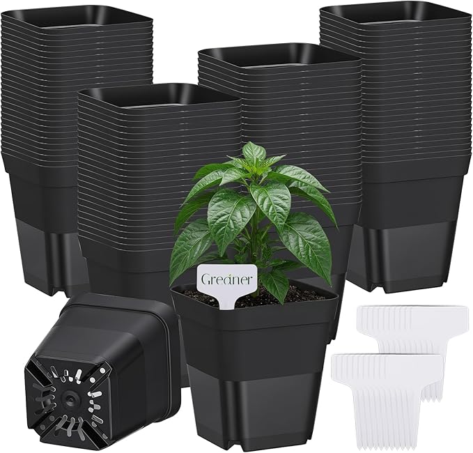 GREANER 4 Inch Nursery Pots, 100PCS Square Plastic Plant Pot with Drainage Holes, Small Planters for Seedling, Planting, Transplanting, Cuttings(Black)