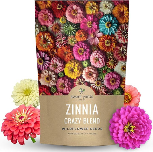 Zinnia Crazy Blend - Bulk 1 Pound Bag - 60,000 Flower Seeds for Planting - Zinnia elegans
