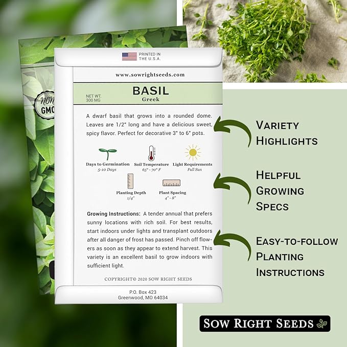 Sow Right Seeds - Greek Basil Seed for Planting - Non-GMO Heirloom Packet with Instructions for Easy Planting and Growing a Kitchen Herb Garden - Indoors & Outdoor - Small Leaved Dwarf Sweet Basil (4)