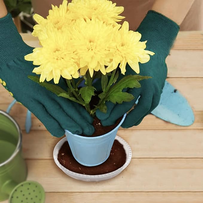 6 Pack Clear Plant Saucer 10 inch, Durable Plastic Plant Trays for Indoor, Round Flower Plant Pot Saucer, Sturdy Plant Water Catcher Tray