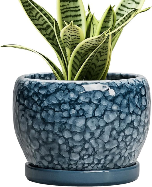 SQOWL Ceramic Pots for Plants - 6 Inch Plant Pot Indoor Outdoor, Ceramic Planter with Drainage Hole and Saucer, Decorative Round Planter, Small Flower Pot, Table Decor, Gifts for Plant Lovers, Blue