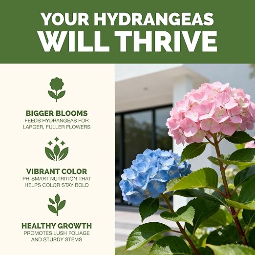 Hydrangea Fertilizer – Liquid Plant Food for Bigger Blooms, Rich Flower Color & Stronger Root Development, 1 Gallon