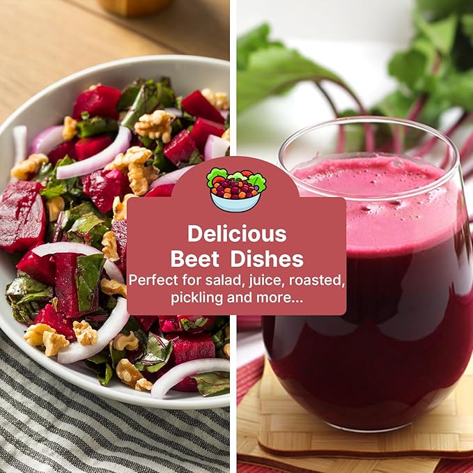 Groundio Detroit Dark Red Beets Seeds | 1500+ Non-GMO Vegetable Seeds for Planting Indoor, Outdoor or Hydroponic | Red Beet for Home Garden Seeds, Beta vulgaris