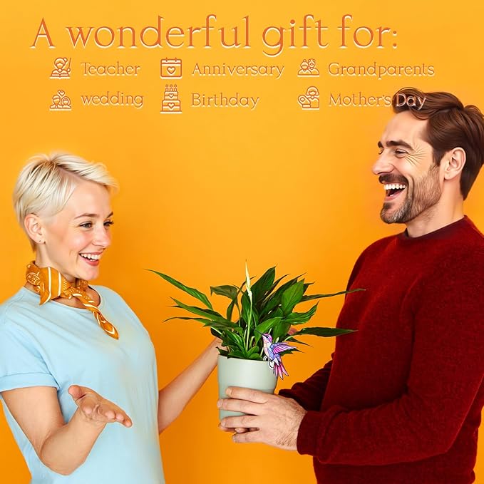 Hummingbird Gifts for Women, 2Pcs Hanging Plant Planter for Indoor Outdoor Garden, Mothers Day Birthday Gifts for Mom Grandma from Daughter Son, Bird Lover Plant Pots Accessories