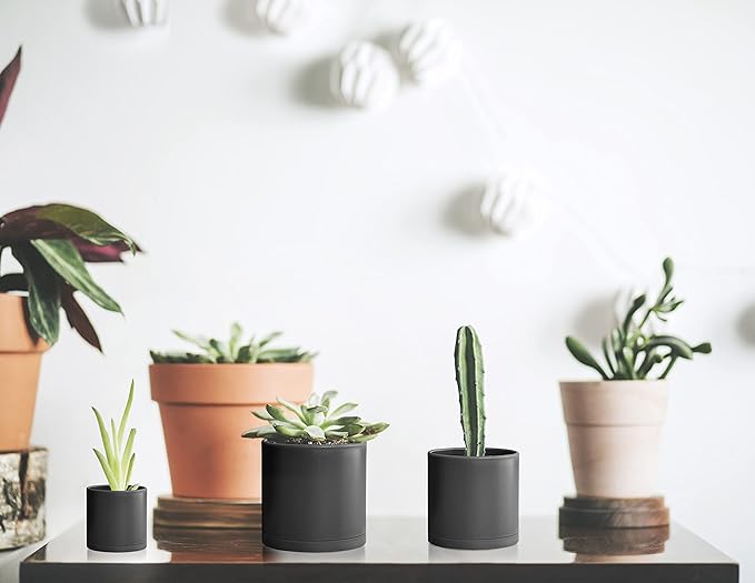 D'vine Dev Pack of 36 Plastic Plant Pots (12 Set of 2 Inch, 2.5 Inch, 3 Inch) Small Garden Planter Pots for Plant with Drainage Holes and Saucers, Black, 74-T-B