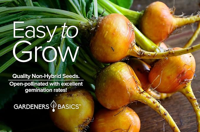 Gardeners Basics, Beet Seeds for Planting Golden Detroit Heirloom Non-GMO Golden Beets Plant Seeds for Home Garden Vegetables Makes a Great Gift for Gardeners