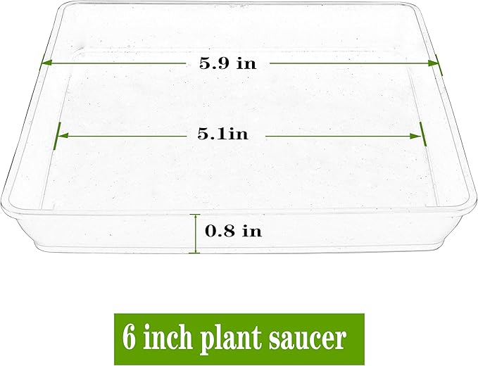 LWALRS Square Plant Saucer 6inch 5 Pack, Plastic Plant Saucers, Plant Water Dray Tray, 8 10 12 14 16 18 20 Inch Garden Planters for for Pots Base Indoors and Outdoors Plants（6 inch Black）