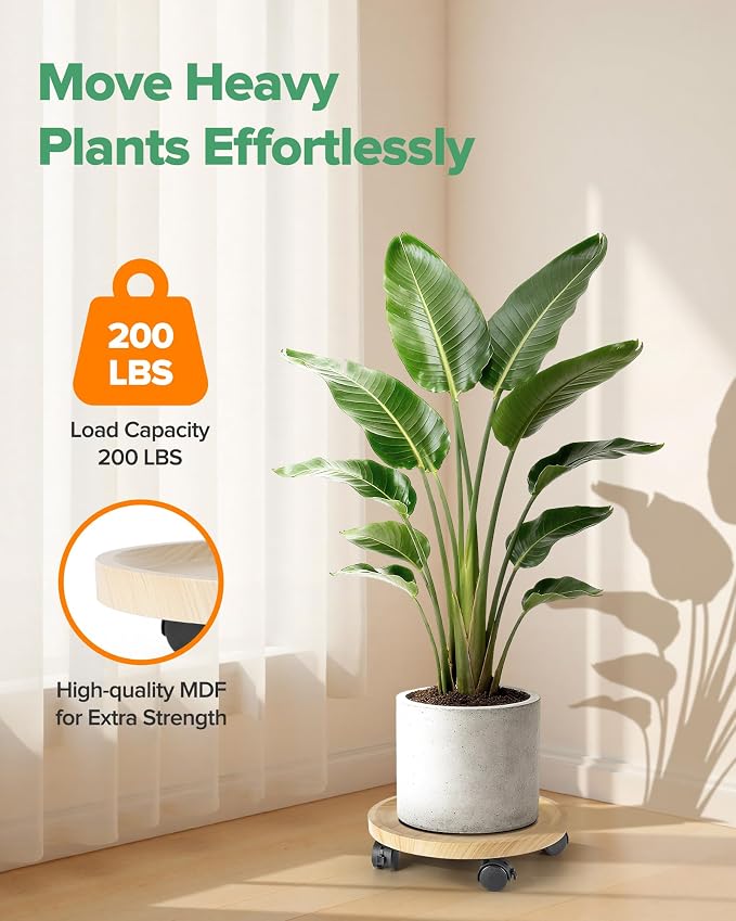 2 Pack Plant Caddy With Wheels, 12" Wood Rolling Plant Stand with 360° Lockable Wheels, Plant Stands Outdoor for Large Plants, Flower Cart Plant Dolly Plant Caster for Heavy Objects, Natural
