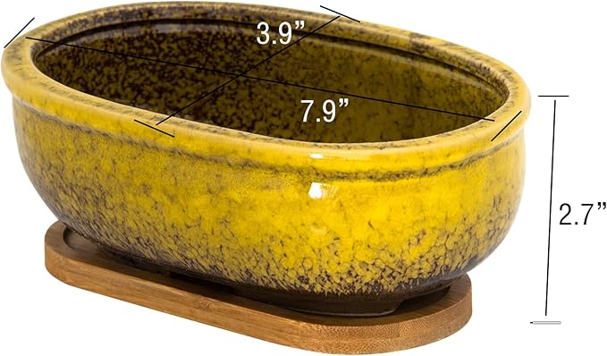 ARTKETTY Succulent Pots, 7.9 Inch Large Succulent Planters with Drainage Tray, Shallow Planters for Indoor Plants Ceramic Cactus Pots Glazed Bonsai Flower Plant Container for Home Windowsill Decor