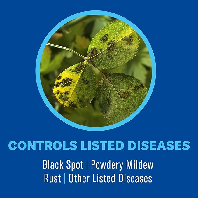 BioAdvanced 3 in 1 Insecticide & Fungicide for Plants, Disease & Plant Mite Control, Concentrate, 32 FOZ