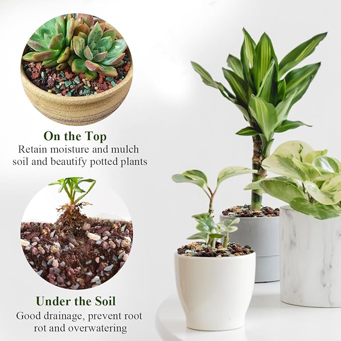 FANTIAN 2 lbs Mix Horticultural Succulent Soil,1/4 Inch Pumice Gravel. Decorative Pebbles Lava Rock for Cactus, Bonsai, Orchid, Indoor Plants of Drainage, Ventilation and Root Growth