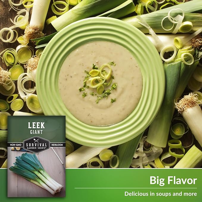 Survival Garden Seeds Giant Leek Seed for Planting - 3 Packets with Instructions to Plant and Grow Enormous Leeks in Your Home Vegetable Garden - Non-GMO Heirloom