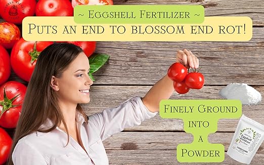 Natures Vitality Farms Eggshell Fertilizer Powder, 1 Pound, for Tomato Plants, Orchids, Calcium Magnesium Phosphorus Powder for Indoor and Outdoor Flowers and Plants