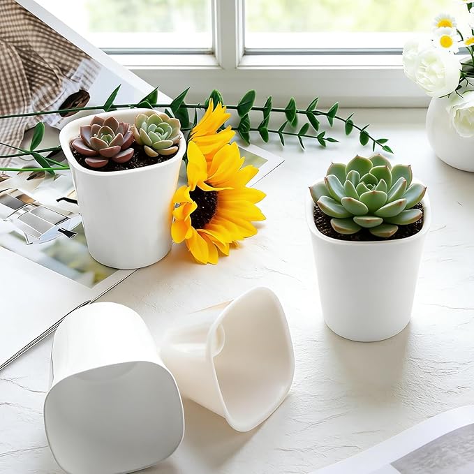 20 Pcs 3 Inch Self Watering Pots Self Watering Planters for Indoor Plants Plastic Self Watering Plant Pot Garden Flower Pots with Water Level Indicator Vents for Herbs