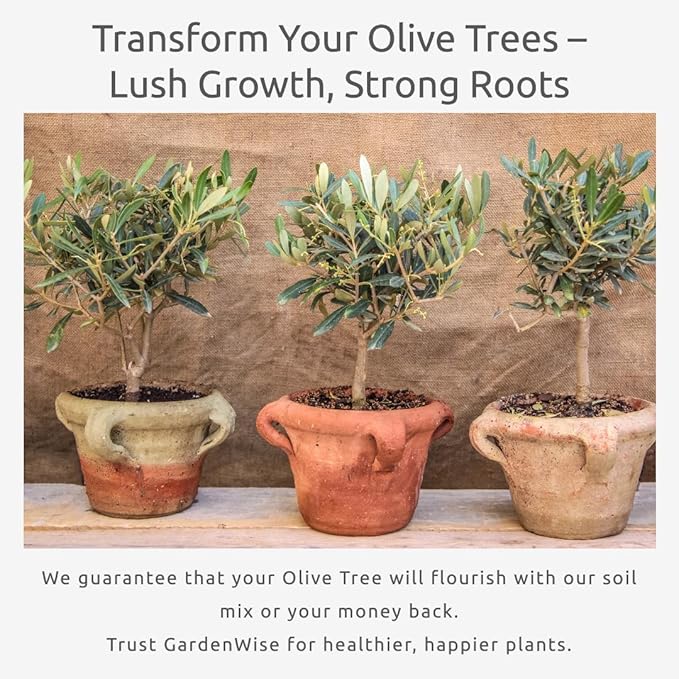 GARDENWISE Organic Olive Tree Potting Mix – Fast-Draining, Nutrient-Rich Soil for Indoor & Outdoor Olive Trees – Mediterranean Plant Care – Long-Lasting Formula (5 QUARTS)
