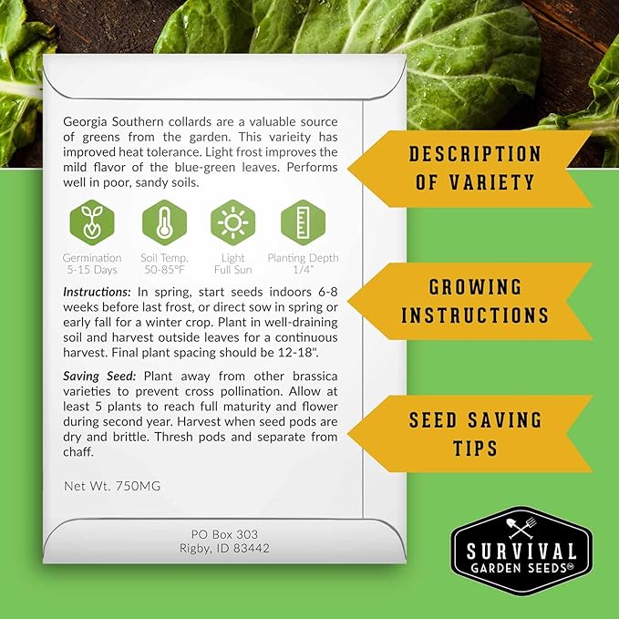 Collard Green Seeds for Planting | Georgia Southern Heirloom Non-GMO Variety | Leafy Greens for Home Vegetable Gardens - Survival Garden Seeds (1 Pack)