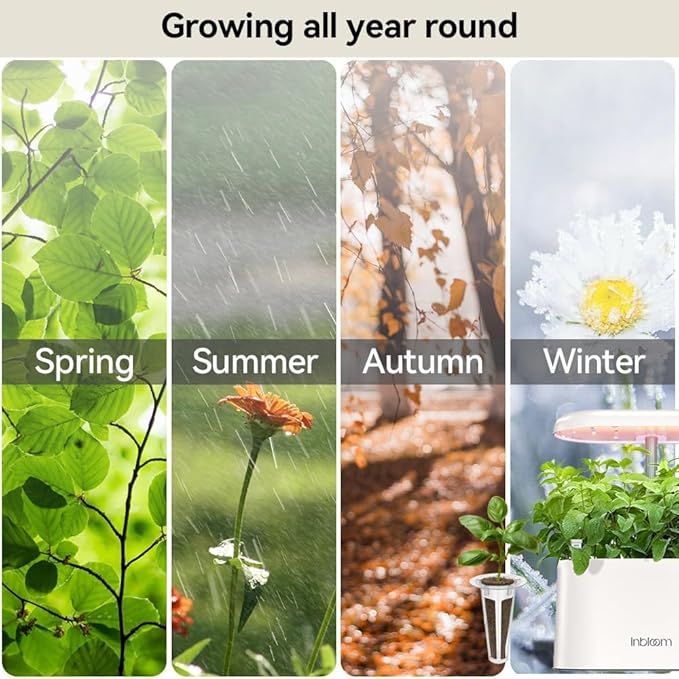 Inbloom 7-Pods Salad Greens Seed Pod Kit for AeroGarden, Ahopegarden, Gardencube Hydroponic Garden (Wild Flower, 7 Pods)