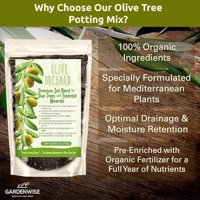 GARDENWISE Organic Olive Tree Potting Mix – Fast-Draining, Nutrient-Rich Soil for Indoor & Outdoor Olive Trees – Mediterranean Plant Care – Long-Lasting Formula (1 Quart)