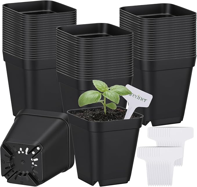 GREANER 2.7 Inch Planter Nursery Pots, 60 Packs Small Plastic Pots for Plants, Black Potting Pots with Drainage Holes for Indoor Outdoor(20 Packs Labels)