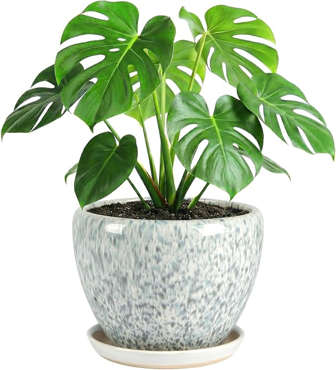 10.2 Inch Ceramic Planter with Saucer Leak-Proof Mesh &Drainage, Round Plant Pot with Gardening Gloves for Indoor Outdoor Plants (Blue Crackle Glaze)