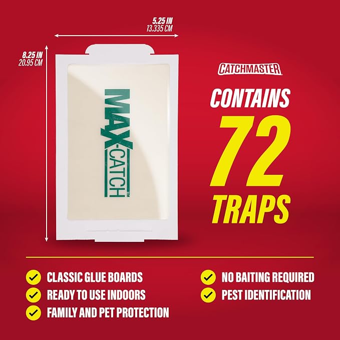 Catchmaster Max-Catch Glue Traps 72pk, Sticky Mouse Traps Indoor for Home | Bulk glue boards for mice & insects, pesticide free sticky traps for spiders, crickets & roaches, home & garage pest control