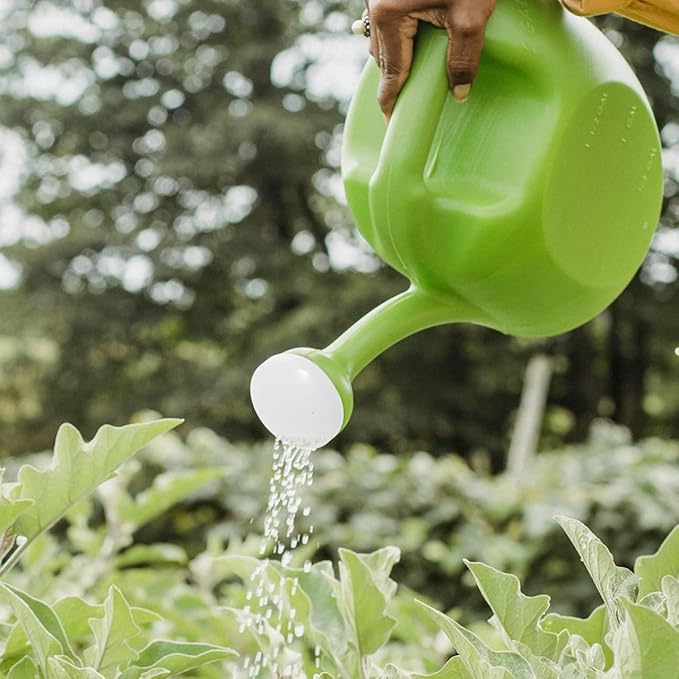 Toddmomy 4-Pack Threaded Watering can Nozzle Replacement 3.14X2.75X0.94In Threaded Nozzle for Garden Watering Cans Indoor Plants Sprinkler Spout Replacement