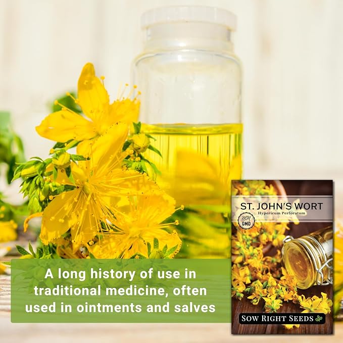 Sow Right Seeds - St John’s Wort Seeds for Planting - Non-GMO Heirloom Packet with Instructions to Plant & Grow an Outdoor or Indoor Herb Garden - Native Wildflower with Medicinal & Culinary Uses (1)