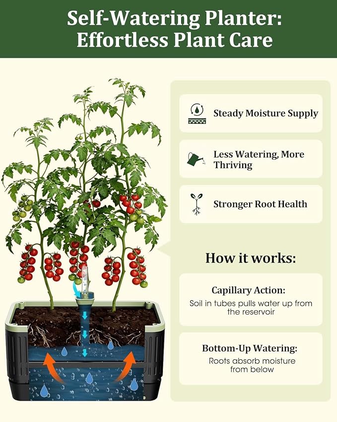 Self Watering Tomato Planter with Trellis, Rectangular Tomato Cages Trellis for Raised Garden Bed, Tomato Planters Box for Garden Pots Patio Indoor Outdoor (Rectangular, 2PC)
