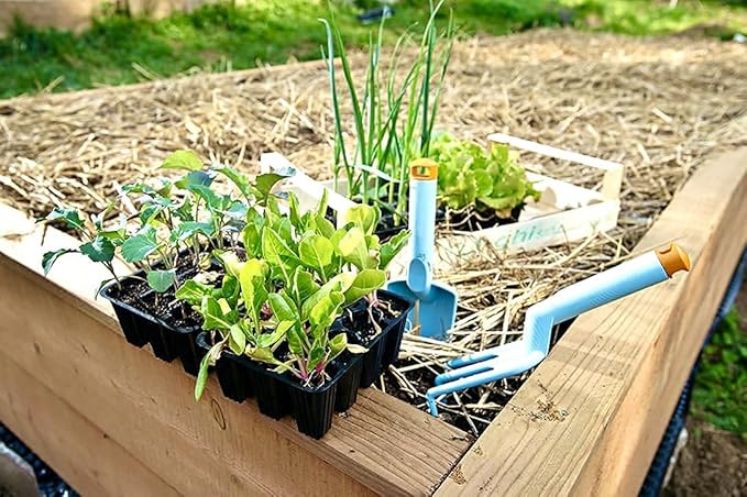 Blue Mountain Hay Organic Garden Straw (10 lb) - Natural Mulch for Gardening, Flower Beds & Landscaping, New Lawn Grass Seeding, Compost, Raised Garden Bed, Cat Grass & Grass Seed