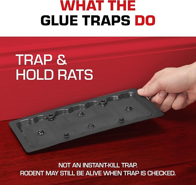 Tomcat Rat Trap with Immediate Grip Glue for Rats, Mice, Snakes, Cockroaches, Spiders, and Scorpions, Ready-To-Use, 2 Traps