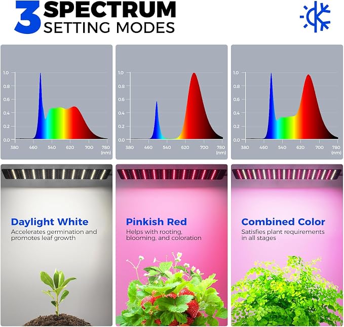 Barrina CX60 Indoor Greenhouse with Grow Light 40W Full Spectrum 23x23x23IN | Seed Starting Indoor Plant Light, Portable Mini Greenhouse, Timer, for Seed Starter Tray, Seedling, Sprouting, Microgreens