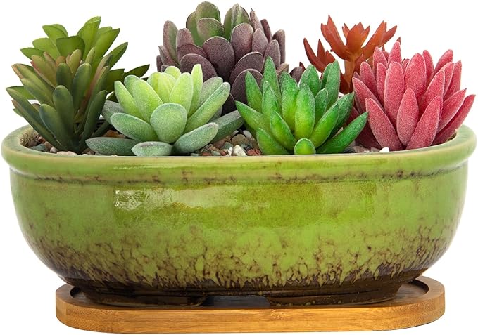 ARTKETTY Succulent Pots - Large Succulent Planters with Drainage Tray, 7.9'' Ceramic Pots for Indoor Cactus Plants, Oval Bonsai Flower Plant Container Bowl Decorative Home Desk Windowsill