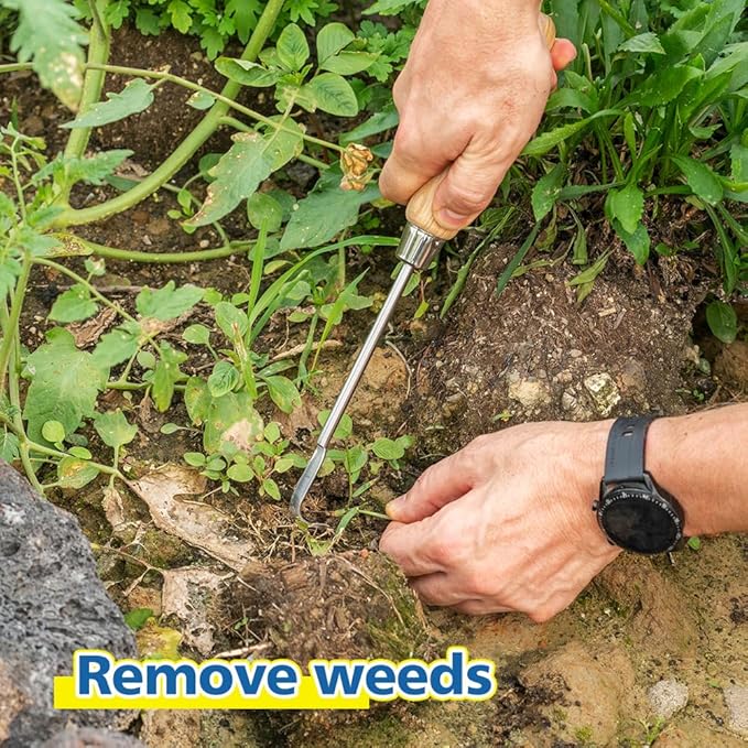 Berry & Bird Garden Hook Weeder - L-Shape Single Claw Hook Crack Weeder for Crevice Weeding and Soil Loosening, Patio Lawn Yard Moss Terrace Paving