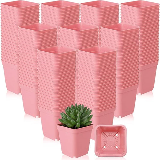 Yaomiao 200 Pack 3 Inch Pink Nursery Pot Square Flower Pots Plastic Plant Succulent Planter Seed Starting Pots with Drainage Holes for Garden Office Balcony Decor Indoor Outdoor Plant Seedling