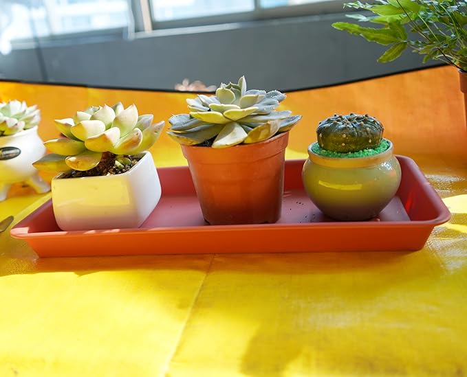 VUWEZ 2 Pack of Plastic Plant Tray Saucer Rectangular, Plant Trays Saucers for Indoors Outdoor, Plant Drip Tray for Flower Pot Planter, Windowsill Plant Tray (6 X 11 Inch, Terracotta)