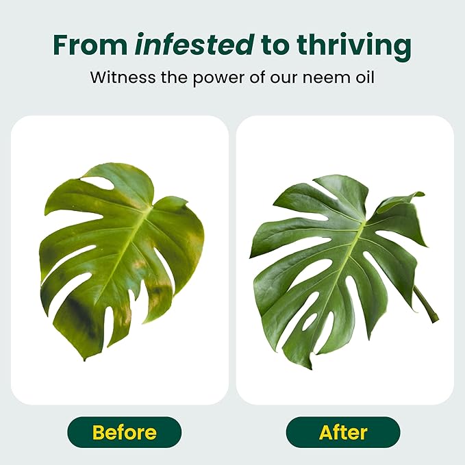 Neem Oil for Plants (Makes 480 fl oz) with Spray Bottle & Essential Oils | for Indoor Houseplants & Outdoor Gardens, Natural Leaf Shine