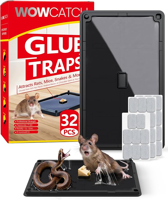 Wowcatch Rat, Snake and Mouse Traps 32 PK, Large Bulk Sticky Glue Traps Indoor for Home Pre-baited, Pet Safe Rodent Catcher for Garage, Kitchen, Catches Roaches, Spiders, Lizard, Non-Toxic, Large