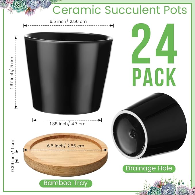 Hsei 24 Pack 2.5 Inch Mini Succulent Plant Pots Small Ceramic Flower Pot with Bamboo Tray Garden Cactus Herb Container Home Office Decoration for Birthday Mother's Day Wedding Favor Gifts (Black)