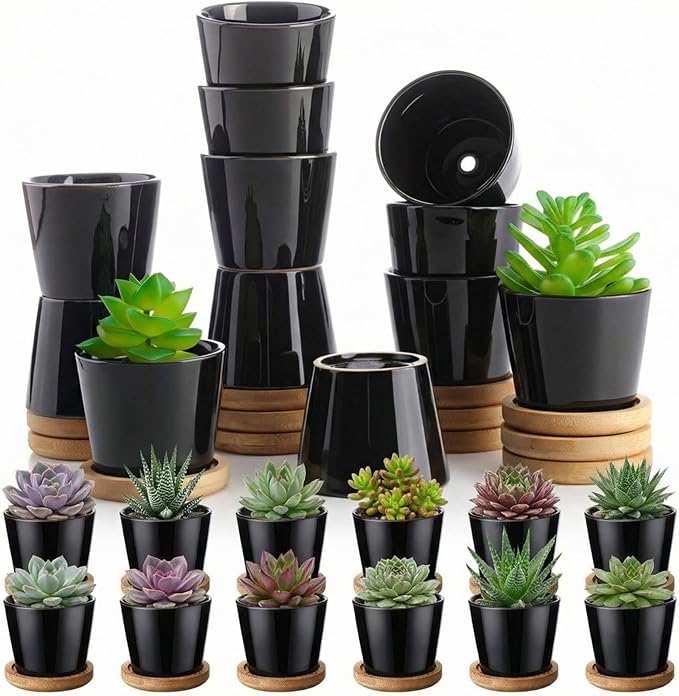 Hsei 24 Pack 2.5 Inch Mini Succulent Plant Pots Small Ceramic Flower Pot with Bamboo Tray Garden Cactus Herb Container Home Office Decoration for Birthday Mother's Day Wedding Favor Gifts (Black)
