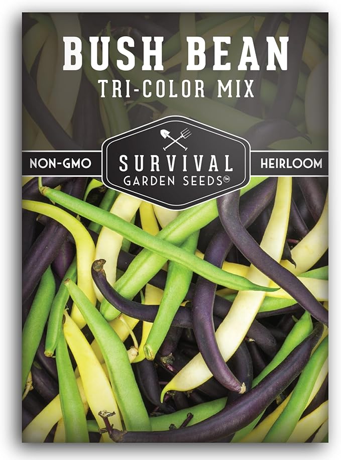 Tri Color Blend Bush Bean Seeds for Planting - Mix of Green, Yellow Wax, & Purple Beans with Stringless Pods - 3 Non-GMO Heirloom High Yield Varieties - Survival Garden Seeds (1 Pack)