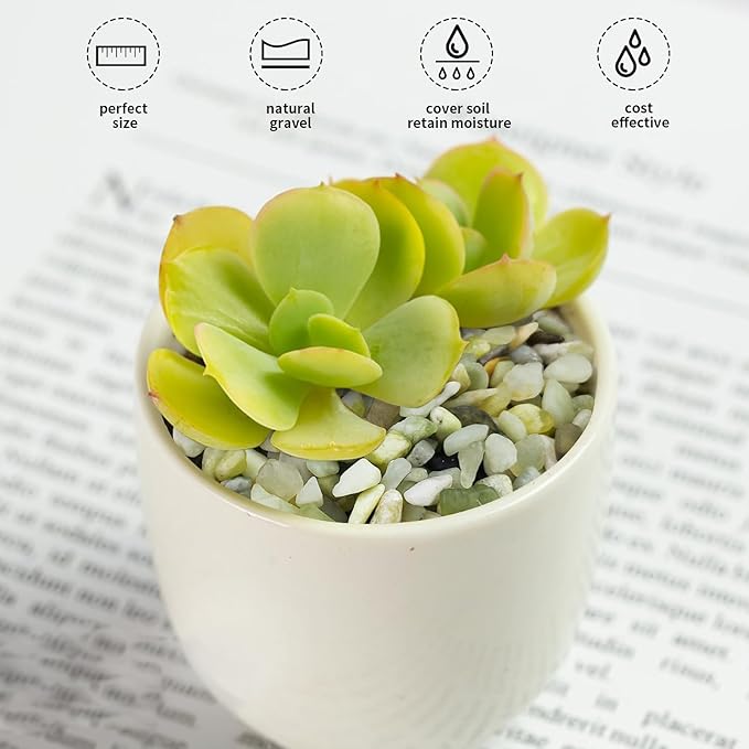 FANTIAN Jade Pebbles for Indoor Plants,1/4 Inch (3-6 MM) Polished Green Pea Gravel Small Rocks for Plants, Succulents, Cactus, Vases, Terrarium