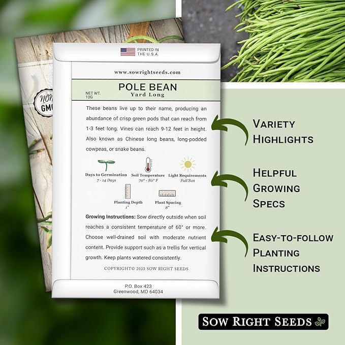 Sow Right Seeds - Asparagus Yard Long Pole Bean Seeds for Planting - Non-GMO Heirloom Packet with Instructions to Plant & Grow an Outdoor Home Vegetable Garden - Productive Green Snake Beans (2)