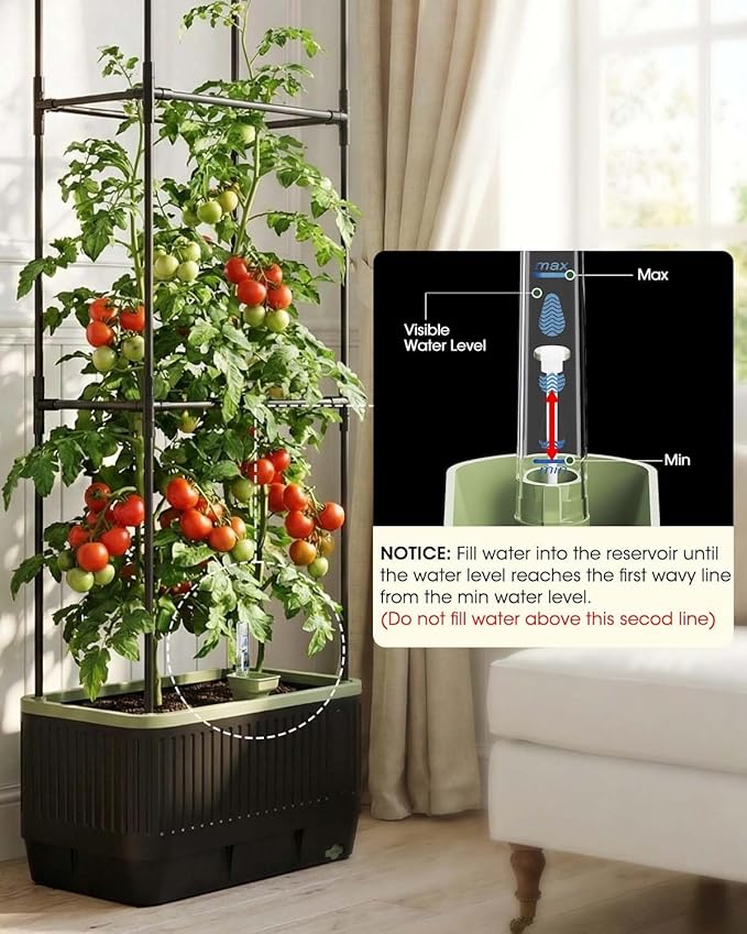 Self Watering Tomato Planter with Trellis, Rectangular Tomato Cages Trellis for Raised Garden Bed, Tomato Planters Box for Garden Pots Patio Indoor Outdoor (Rectangular, 2PC)