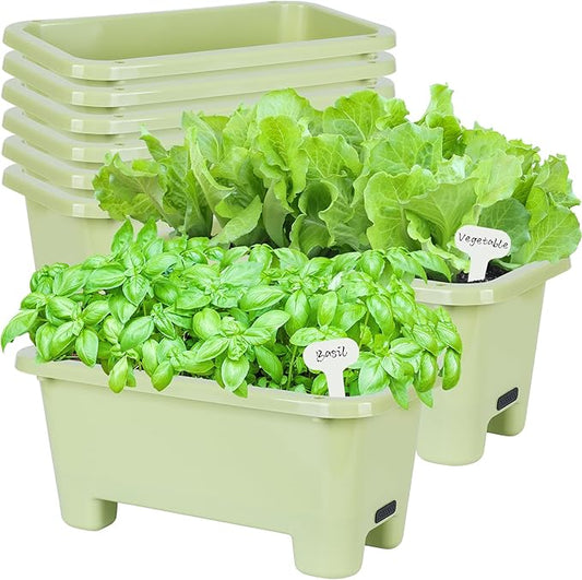 Oliz Self-Watering Rectangle Planter Boxes 8-Pack, 15.7-Inch Window Box Planter with Drainage Holes & Trays, Pots for Vegetables, Herbs, Flowers, Garden Windowsill Balcony (Light Green)