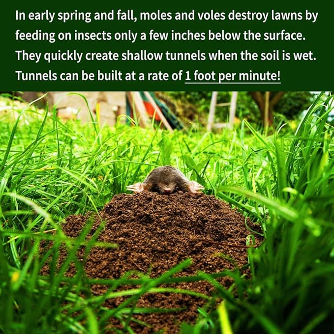 Nature's MACE Mole & Vole MACE – Yard & Garden Granules, Castor Oil Formula, Outdoor Use, Plant & Pet Safe, 352 Fl Oz (Pack of 1)