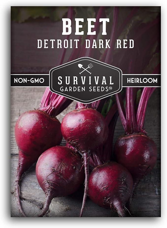 Detroit Dark Red Beet Seeds for Planting - Classic Red Beets for Garden Growing Outdoors, High Yield Heirloom Beetroot, Non-GMO Open Pollinated - Survival Garden Seeds (1 Pack)