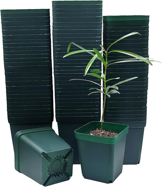 RooTrimmer Square Seedling Nursery Pots 3.15 Inches 100 Pcs for Small Succulents or Cacti Flower Plastic Pots Sturdy Reusable (Green, 3.14Inches,100Pcs)